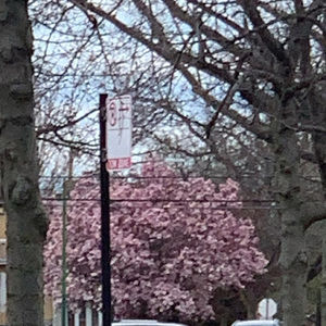 Meet your Posher, Mya